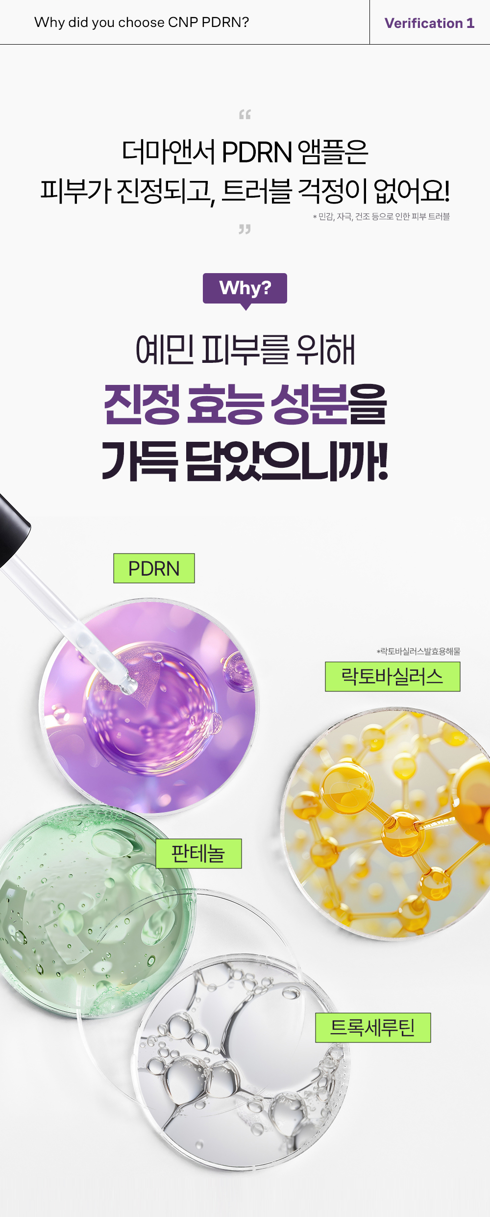 [舒缓弹力] CHAP&PAK Derma Answer 活力增强 PDRN安瓶 30ml 企划装（赠15ml） source detail 4