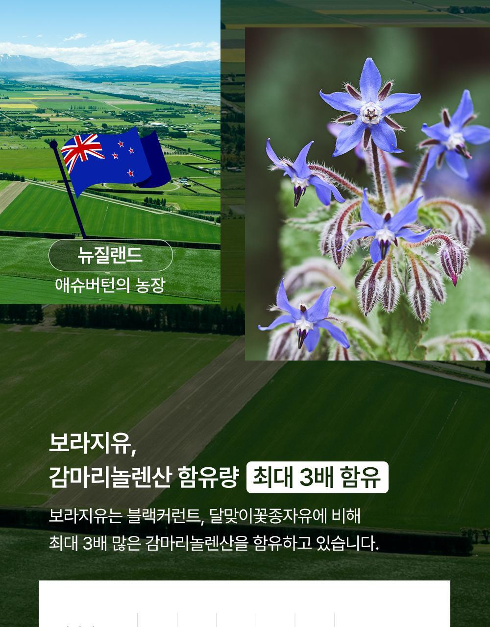 이너플로라 보라지유 상세6