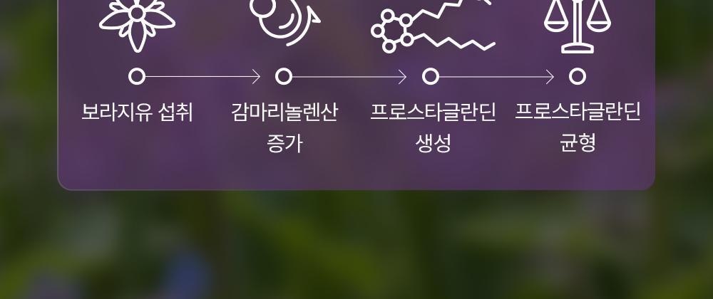 이너플로라 보라지유 상세3