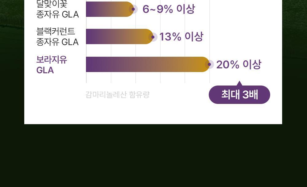 이너플로라 보라지유 상세6