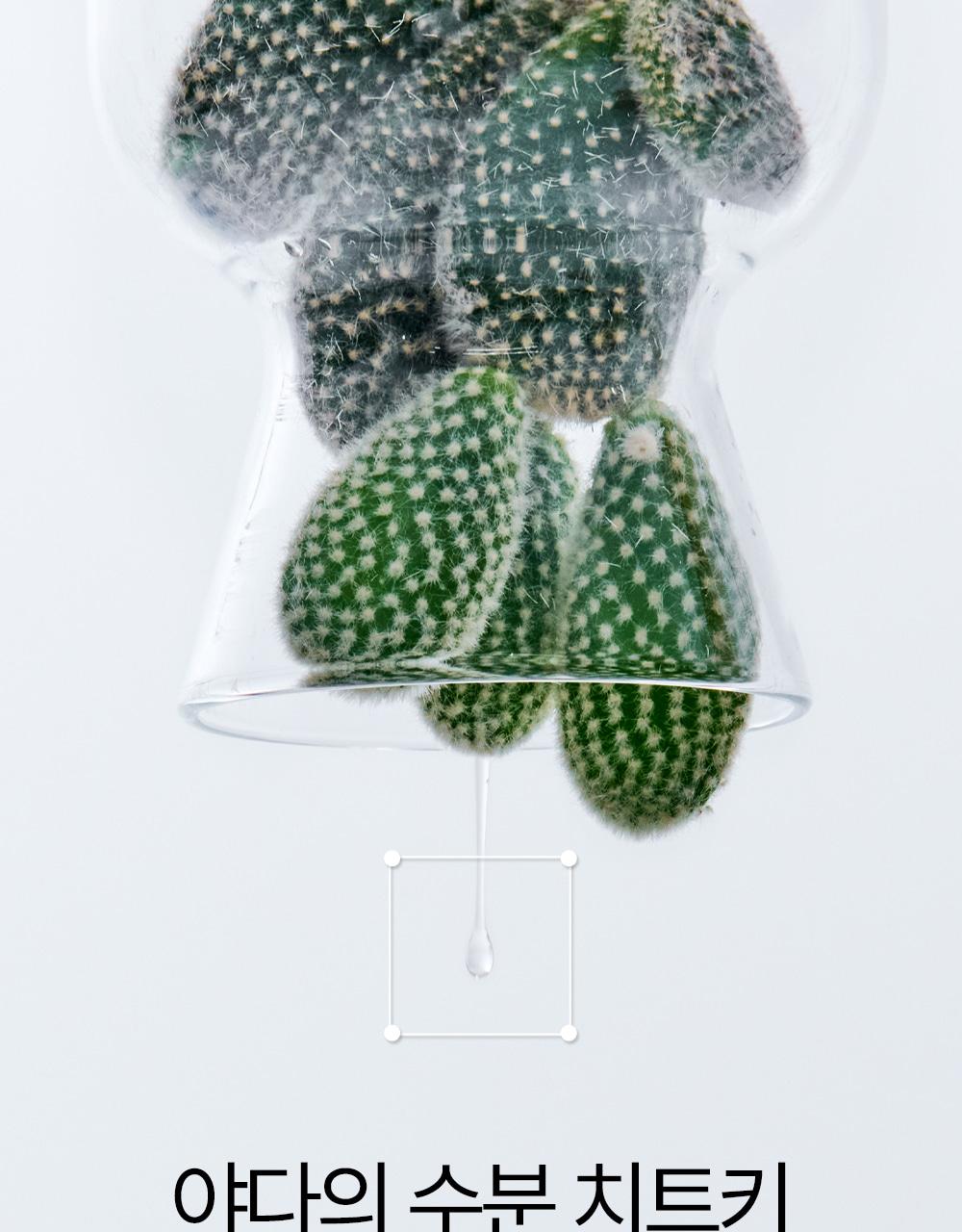 [补水/大容量] Yadah Seoninjang 舒缓凝胶 500ml source detail 12