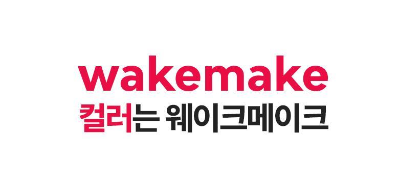 Wake Make Defining Cover Concealer 6 Colors