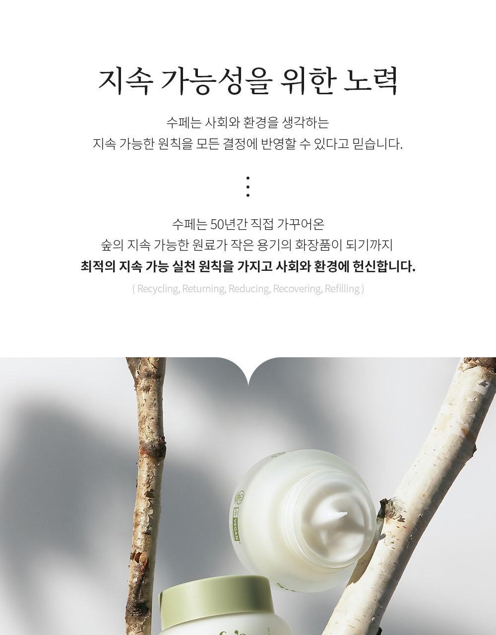 수페 Birch Rich Origin Cream 50ml