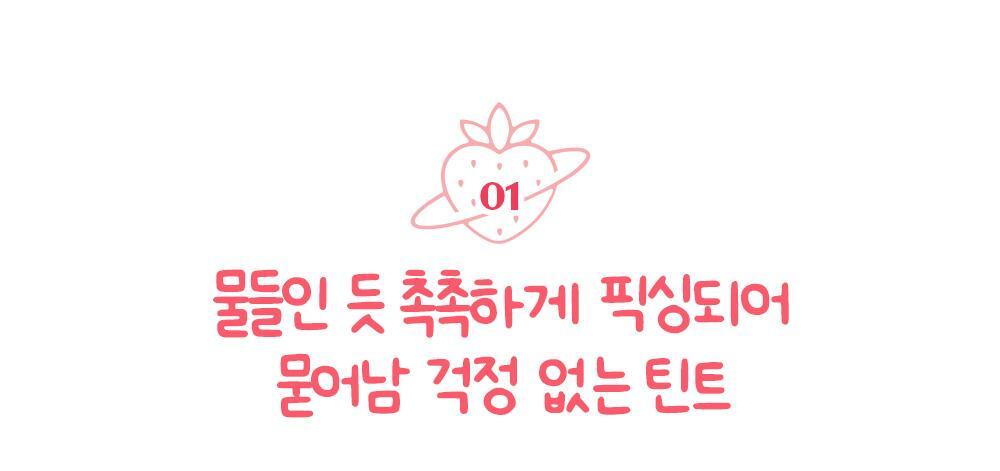 Etude Fixing Tint 4g