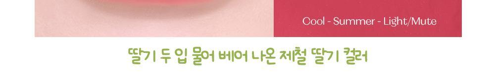 Etude Fixing Tint 4g