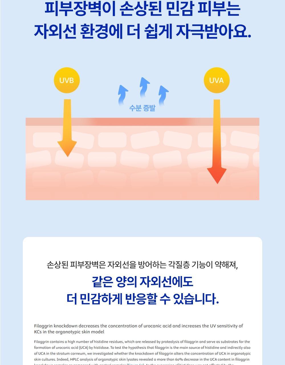 피부장벽이 손상된 민감 피부는 자외선 환경에 더 쉽게 자극받아요.