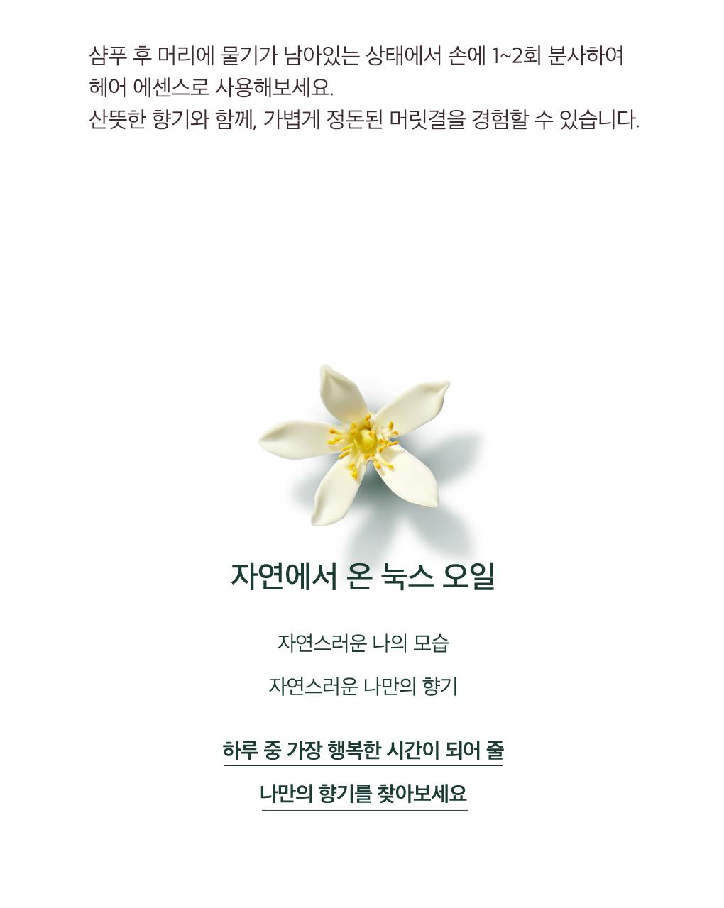 [高效吸收/Meoltioil BeiseuPrep]Nukseu Wil Peurodijyuseu Meolti 干爽型 Oil100ml 企划装(+迷你Oil10ml) source detail 20