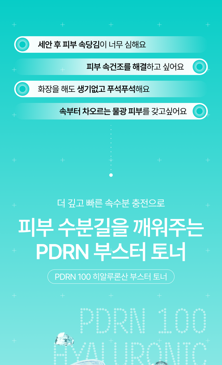 Anua PDR-N 100 Hyaluronic Acid Booster Toner 250ml +40ml