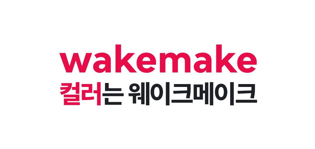 WAKEMAKE Brow Pencil & Fixing Mascara Set - Korean Brow Set