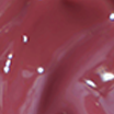 Gloy Tint Balm 03 桑莓啫喱
