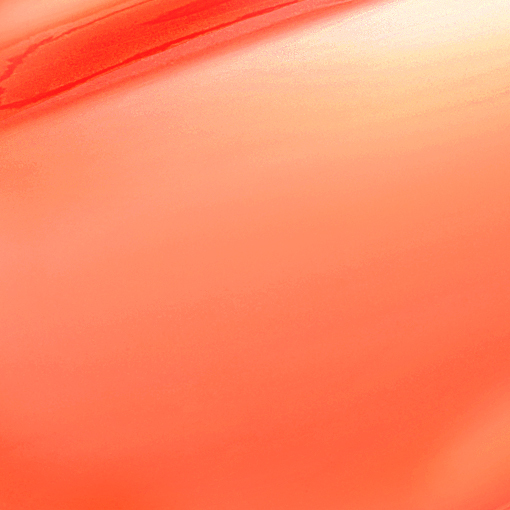 [單品/NEW] 13 Tangy