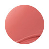 [NEW] 19號 Bare Tulip