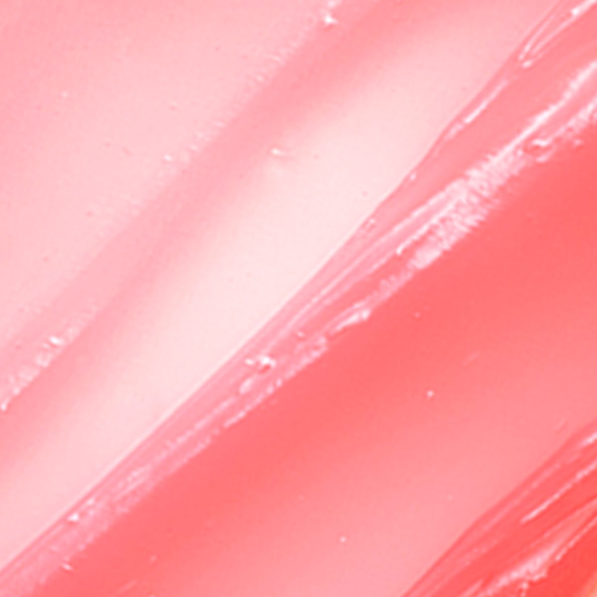 Camellia