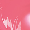 05 Tender 蜜桃 In Like