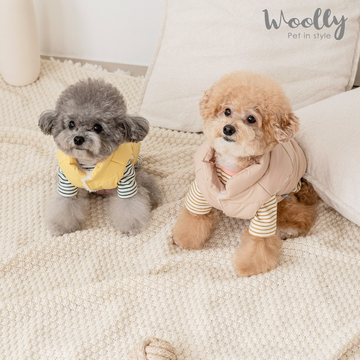 https://image.oliveyoung.co.kr/cfimages/cf-goods/uploads/images/thumbnails/10/0000/0015/B00000015995504ko.jpg?l=ko
