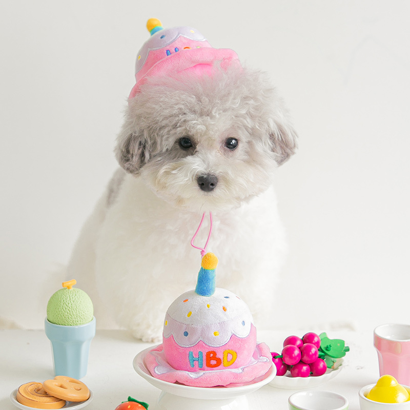 바잇미 파티케이크 모자 장난감 생일케이크 (삑삑/바스락)