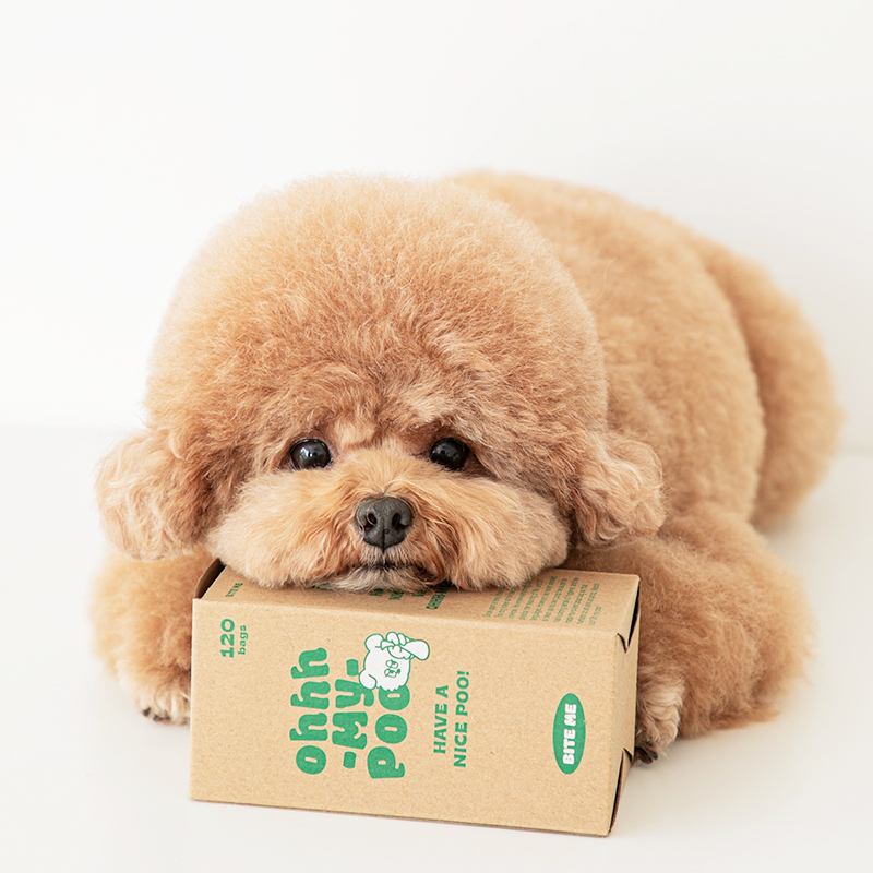 https://image.oliveyoung.co.kr/cfimages/cf-goods/uploads/images/thumbnails/10/0000/0017/B00000017703503ko.jpg?l=ko