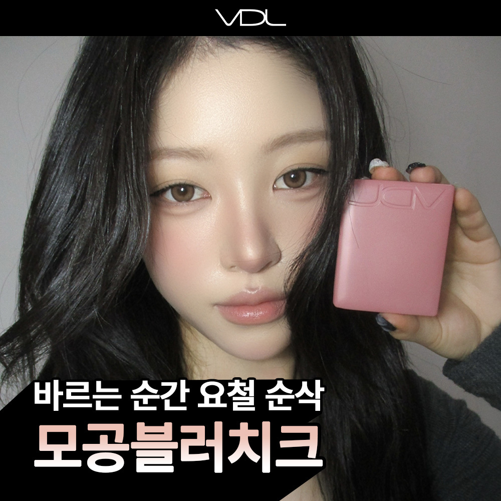 [인생템/모공블러치크] VDL 치크스테인 블러셔/블러셔 듀오 6g