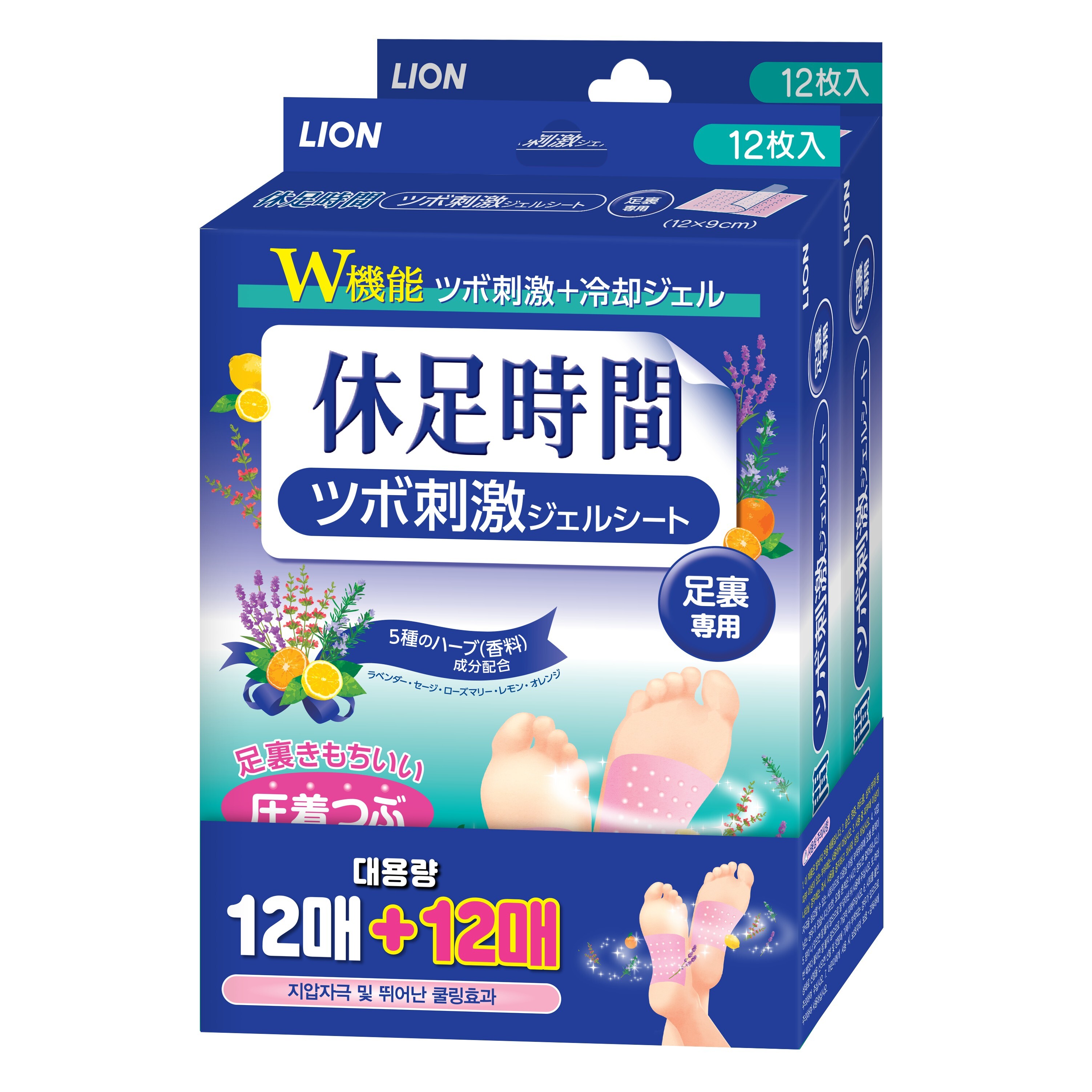 Olive Young 12 企划装 12 +12