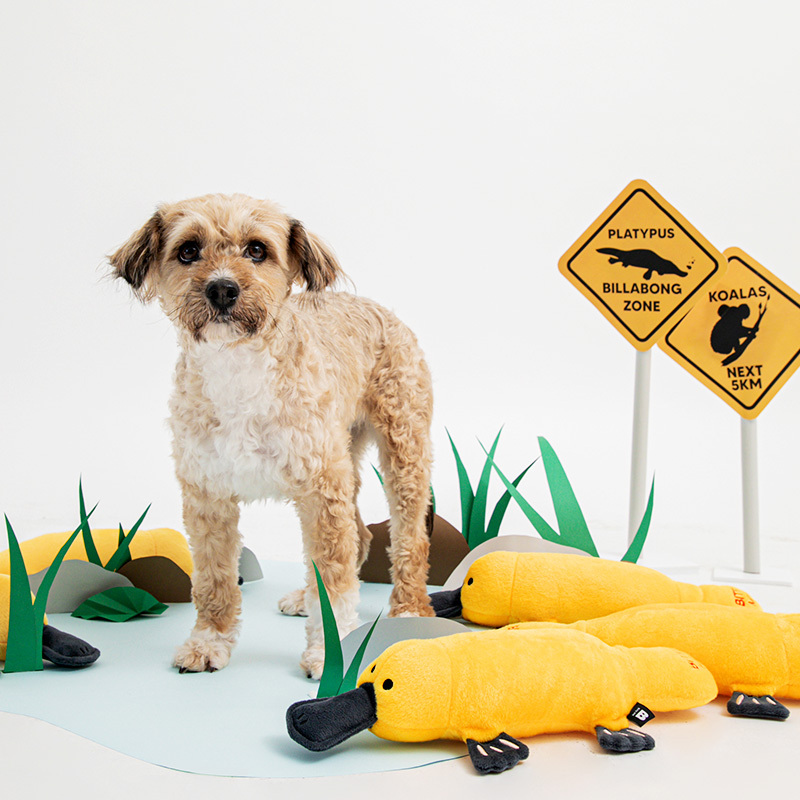 https://image.oliveyoung.co.kr/cfimages/cf-goods/uploads/images/thumbnails/10/0000/0018/B00000018974303ko.jpg?l=ko