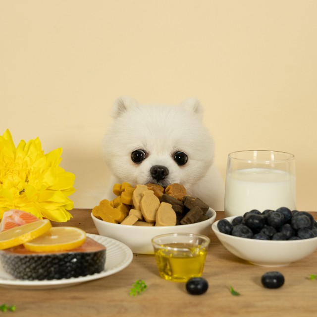 https://image.oliveyoung.co.kr/cfimages/cf-goods/uploads/images/thumbnails/10/0000/0019/B00000019242509ko.jpg?l=ko