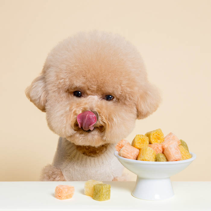 https://image.oliveyoung.co.kr/cfimages/cf-goods/uploads/images/thumbnails/10/0000/0019/B00000019263402ko.jpg?l=ko