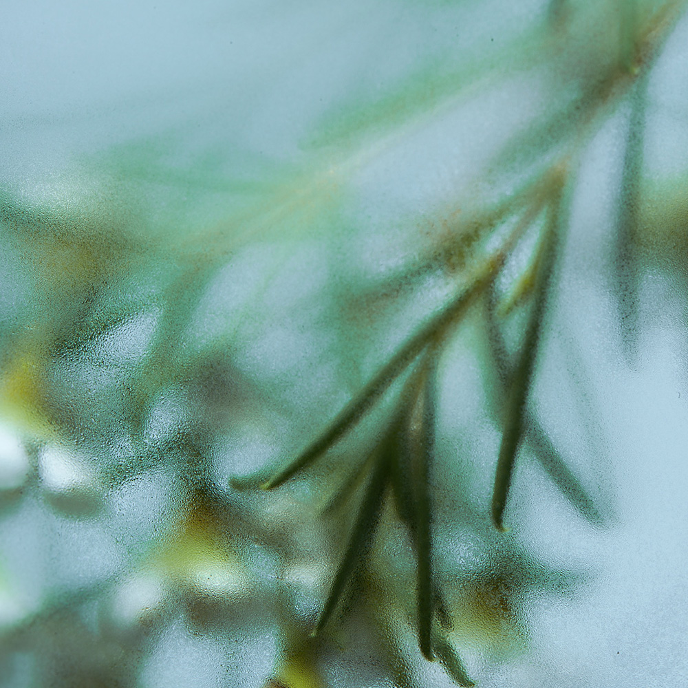 https://image.oliveyoung.co.kr/cfimages/cf-goods/uploads/images/thumbnails/10/0000/0020/A00000020334803ko.jpg?l=ko