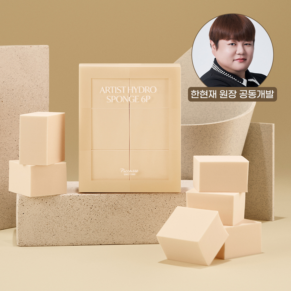 피카소 아티스트 하이드로 스펀지 6p