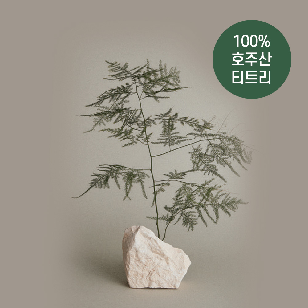https://image.oliveyoung.co.kr/cfimages/cf-goods/uploads/images/thumbnails/10/0000/0020/A00000020640407ko.jpg?l=ko