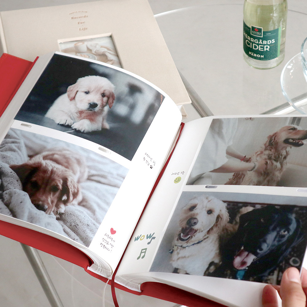 https://image.oliveyoung.co.kr/cfimages/cf-goods/uploads/images/thumbnails/10/0000/0020/B00000020476103ko.jpg?l=ko