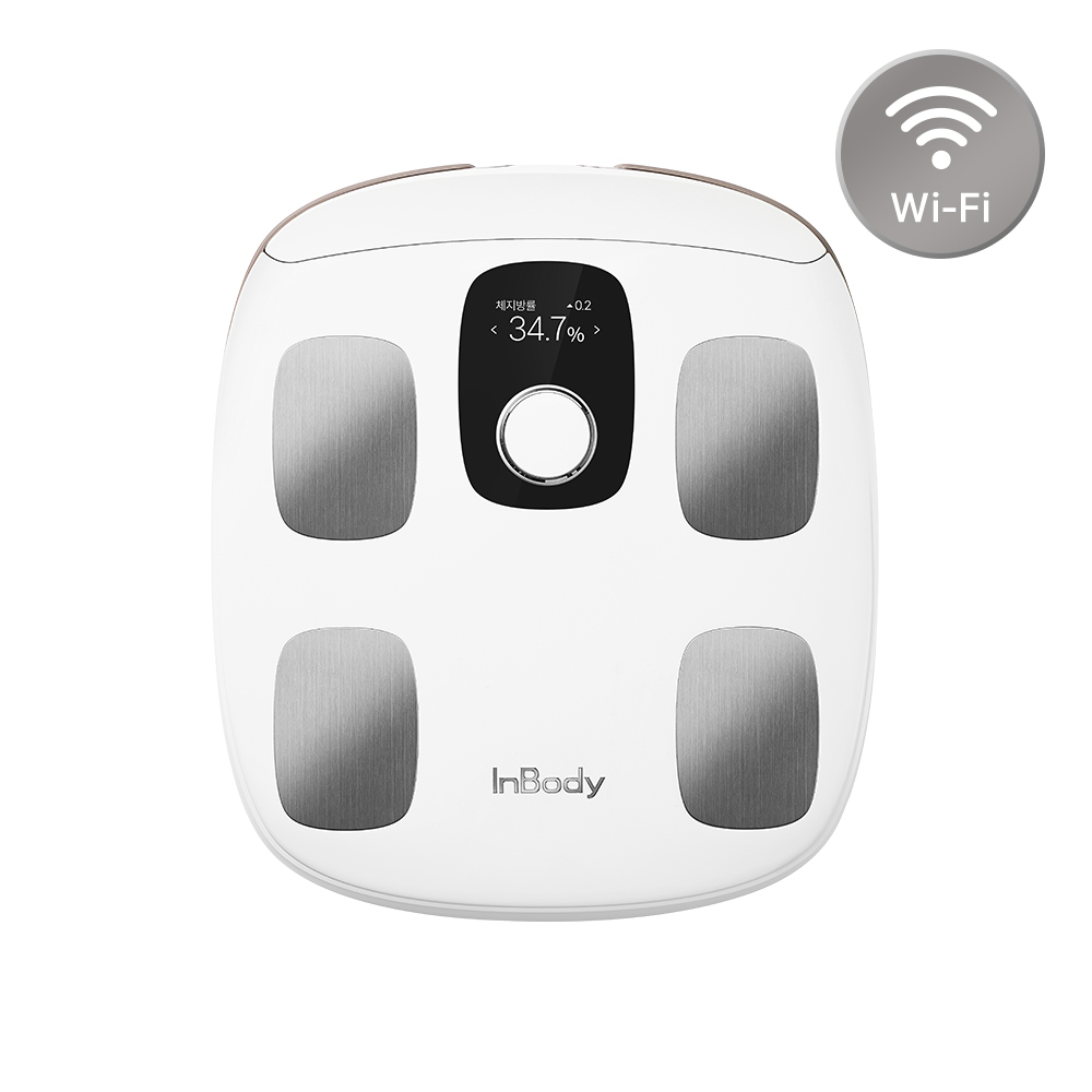 인바디 다이얼 체지방 측정 체중계 H30N WIFI