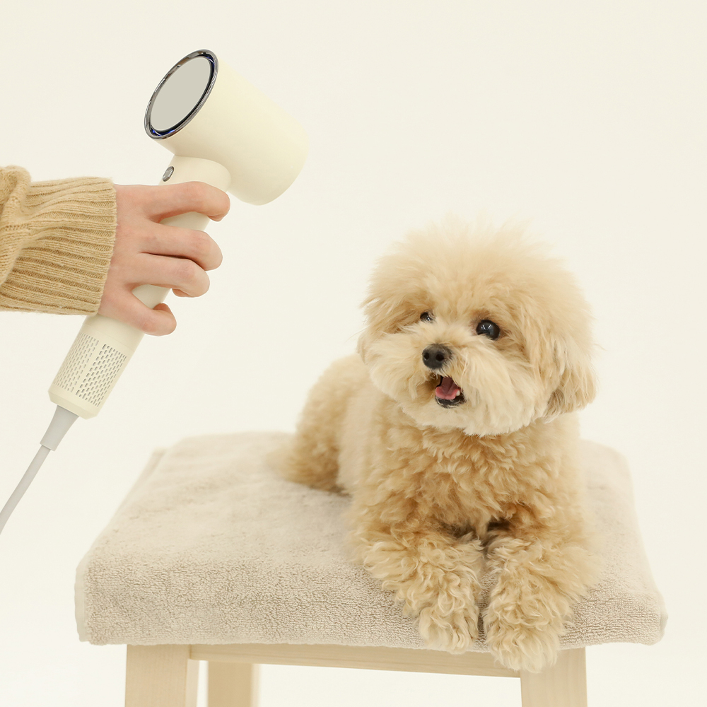 https://image.oliveyoung.co.kr/cfimages/cf-goods/uploads/images/thumbnails/10/0000/0021/B00000021789706ko.jpg?l=ko