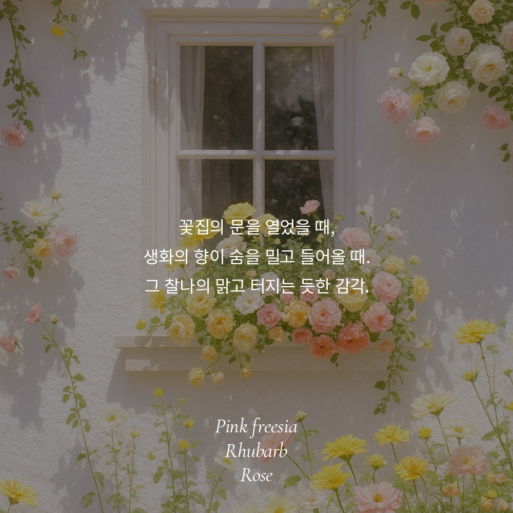 https://image.oliveyoung.co.kr/cfimages/cf-goods/uploads/images/thumbnails/10/0000/0022/A00000022168011ko.jpg?l=ko