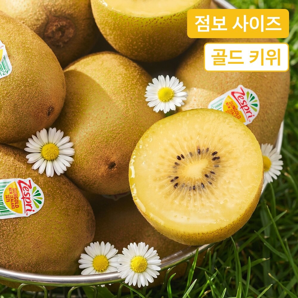[온브릭스] 압도적 크기, 제스프리 점보 썬 골드키위 1.5kg / 3kg / 4.5kg