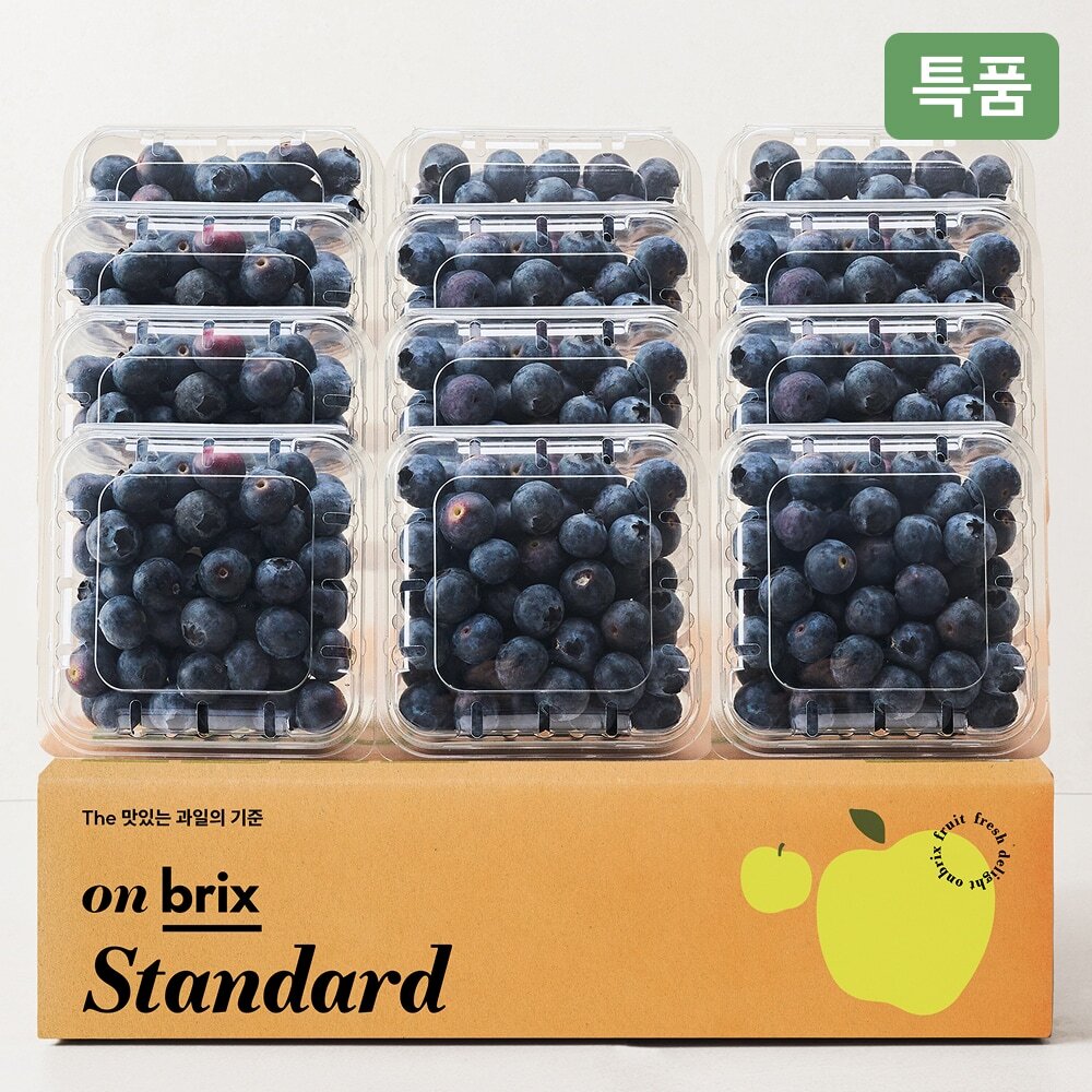 [온브릭스] 항공직송 캐나다 생 블루베리 500g / 1kg / 1.5kg