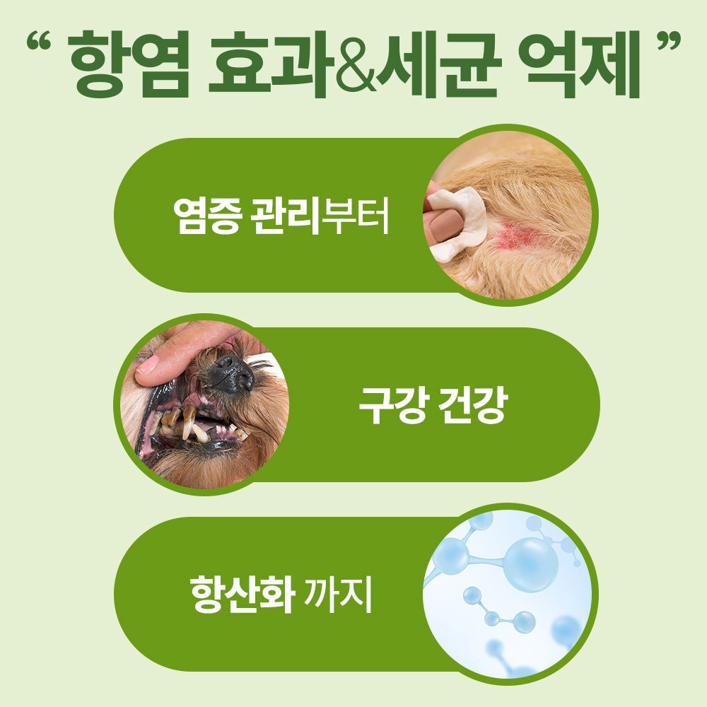 https://image.oliveyoung.co.kr/cfimages/cf-goods/uploads/images/thumbnails/10/0000/0022/B00000022782607ko.jpg?l=ko