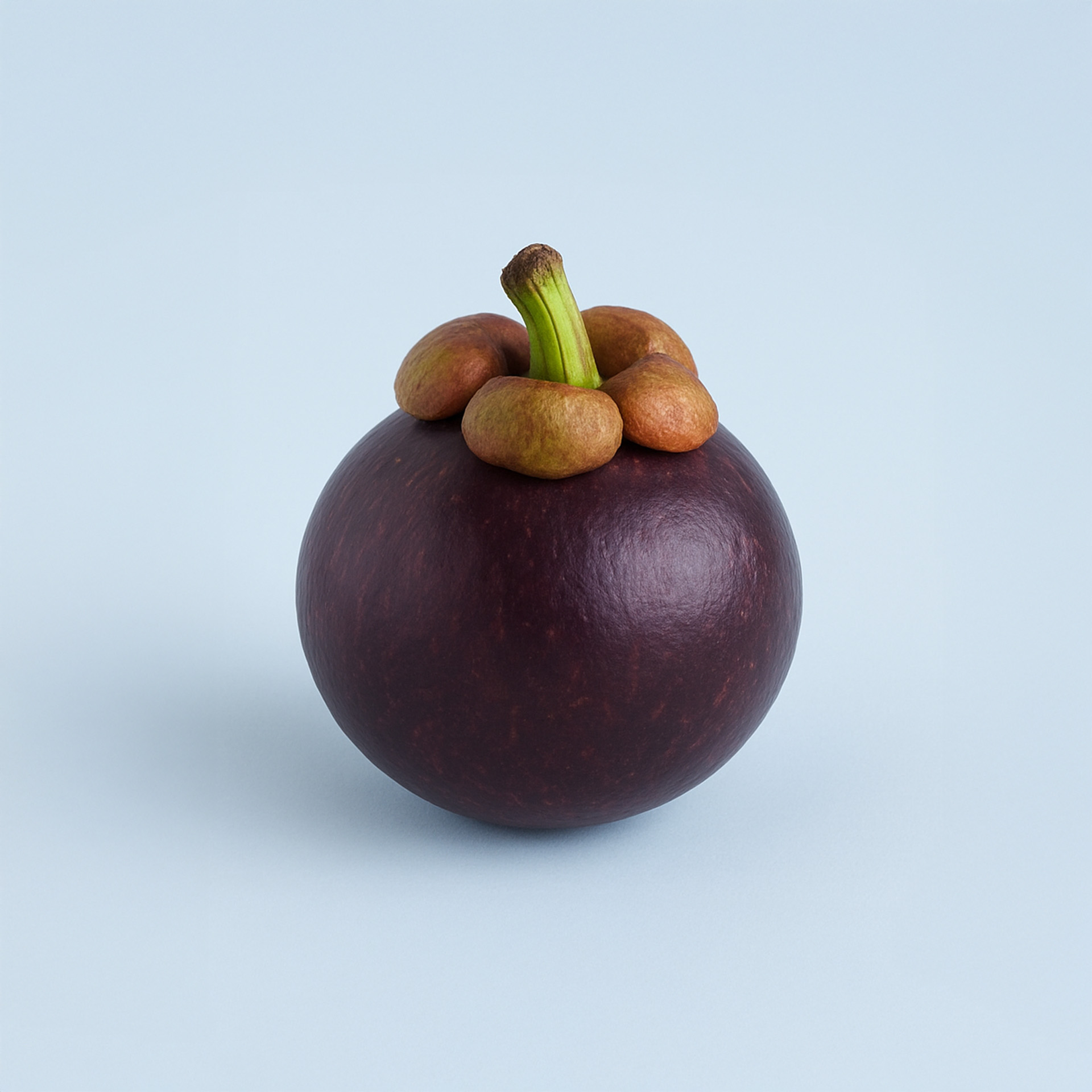 https://image.oliveyoung.co.kr/cfimages/cf-goods/uploads/images/thumbnails/10/0000/0023/A00000023530803ko.jpg?l=ko