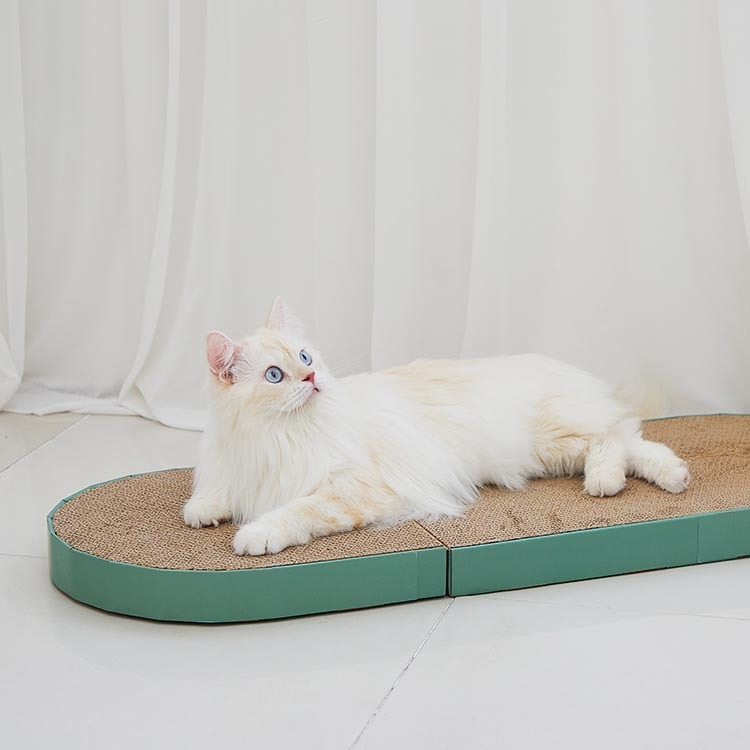 https://image.oliveyoung.co.kr/cfimages/cf-goods/uploads/images/thumbnails/10/0000/0023/B00000023068602ko.jpg?l=ko