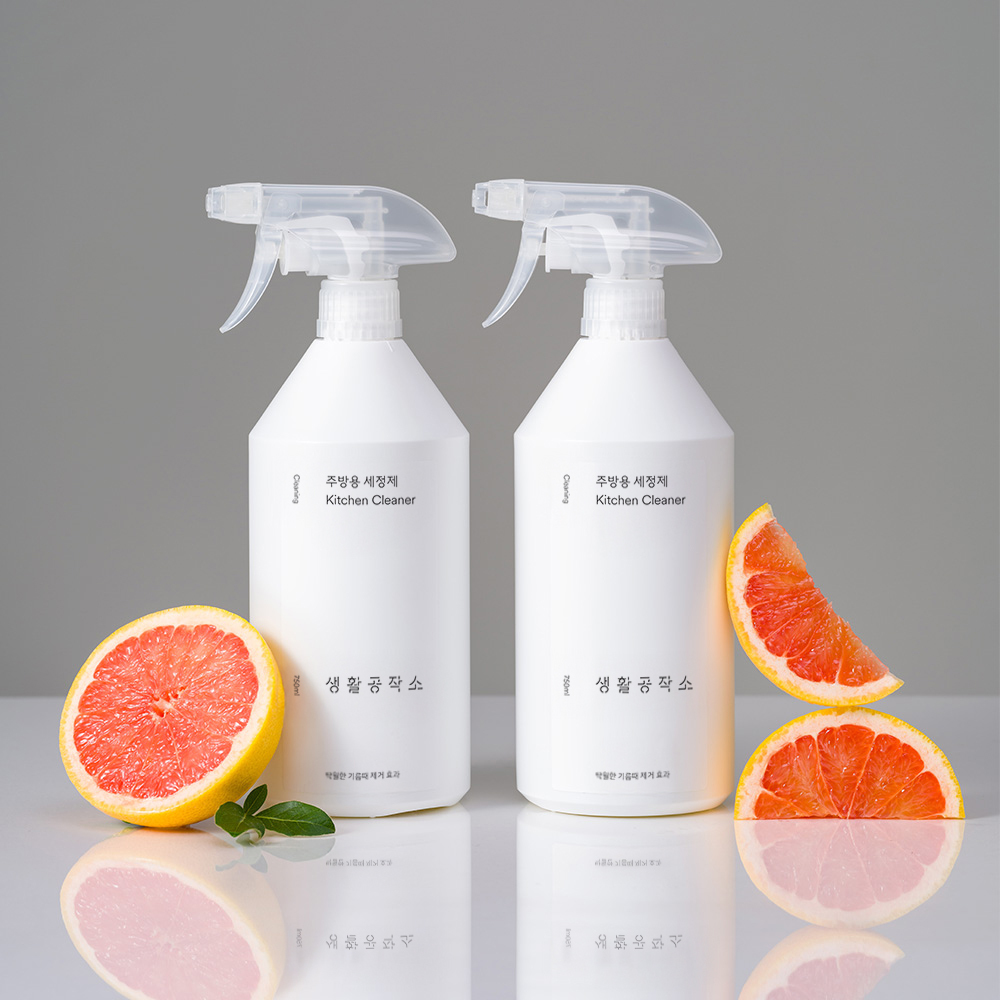 생활공작소 주방용세정제 750ml 2개