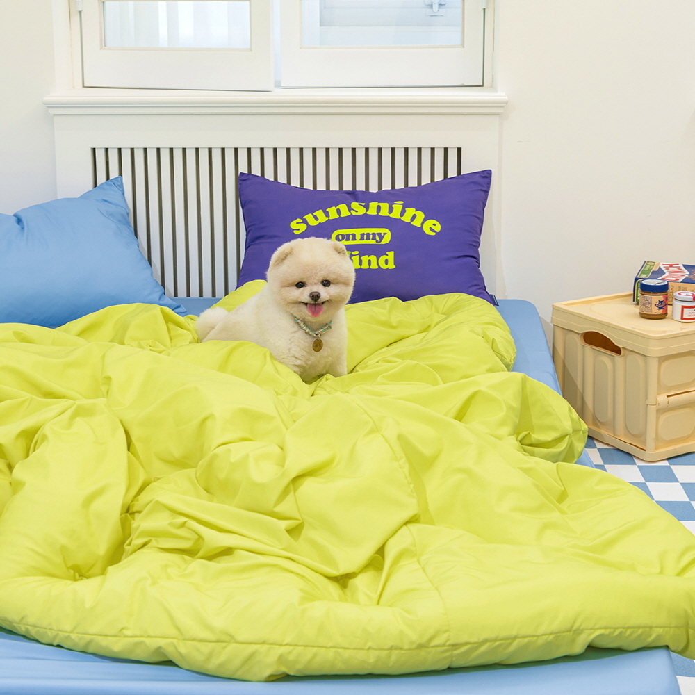 https://image.oliveyoung.co.kr/cfimages/cf-goods/uploads/images/thumbnails/10/0000/0023/B00000023496604ko.jpg?l=ko
