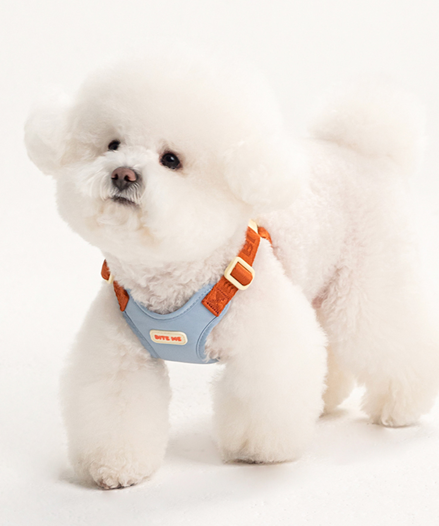 https://image.oliveyoung.co.kr/cfimages/cf-goods/uploads/images/thumbnails/10/0000/0025/B00000025066103ko.jpg?l=ko