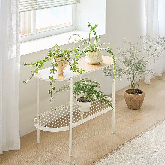 https://image.oliveyoung.co.kr/cfimages/cf-goods/uploads/images/thumbnails/10/0000/0025/B00000025256504ko.jpg?l=ko