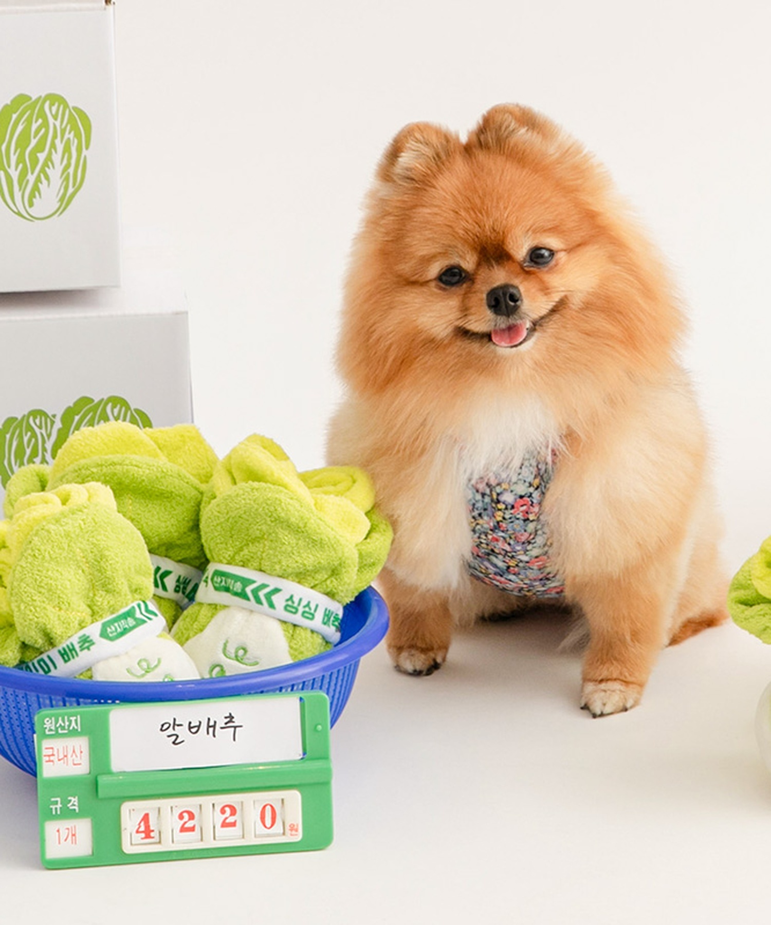 https://image.oliveyoung.co.kr/cfimages/cf-goods/uploads/images/thumbnails/10/0000/0025/B00000025670102ko.jpg?l=ko