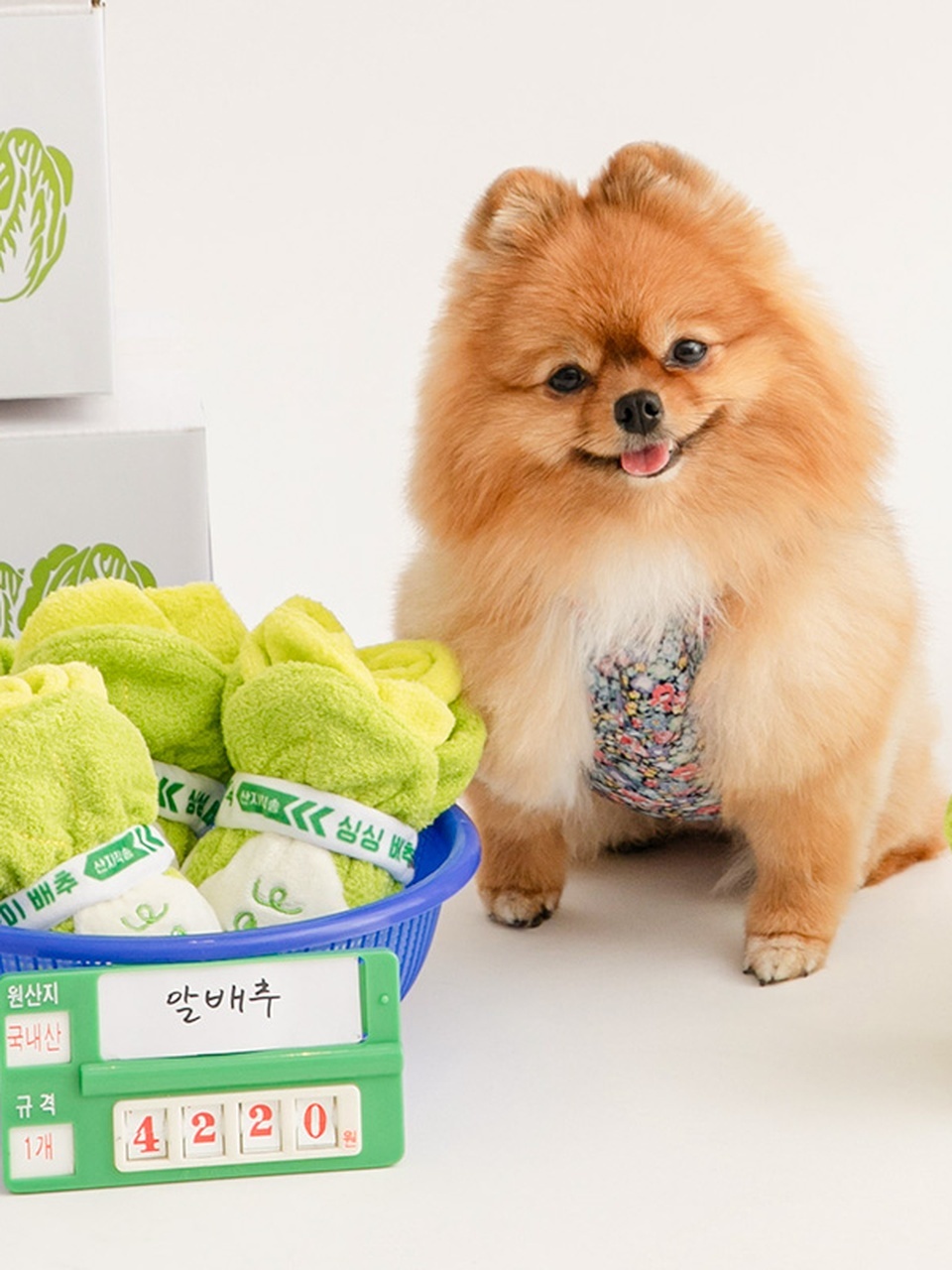https://image.oliveyoung.co.kr/cfimages/cf-goods/uploads/images/thumbnails/10/0000/0025/B00000025670103ko.jpg?l=ko