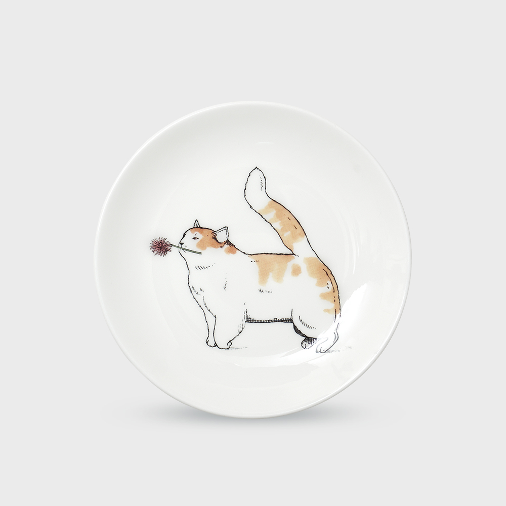https://image.oliveyoung.co.kr/cfimages/cf-goods/uploads/images/thumbnails/10/0000/0025/B00000025824306ko.jpg?l=ko