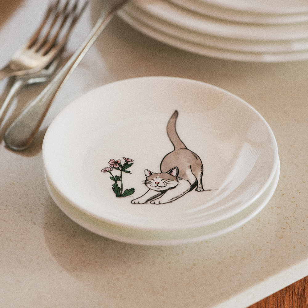 https://image.oliveyoung.co.kr/cfimages/cf-goods/uploads/images/thumbnails/10/0000/0025/B00000025824307ko.jpg?l=ko