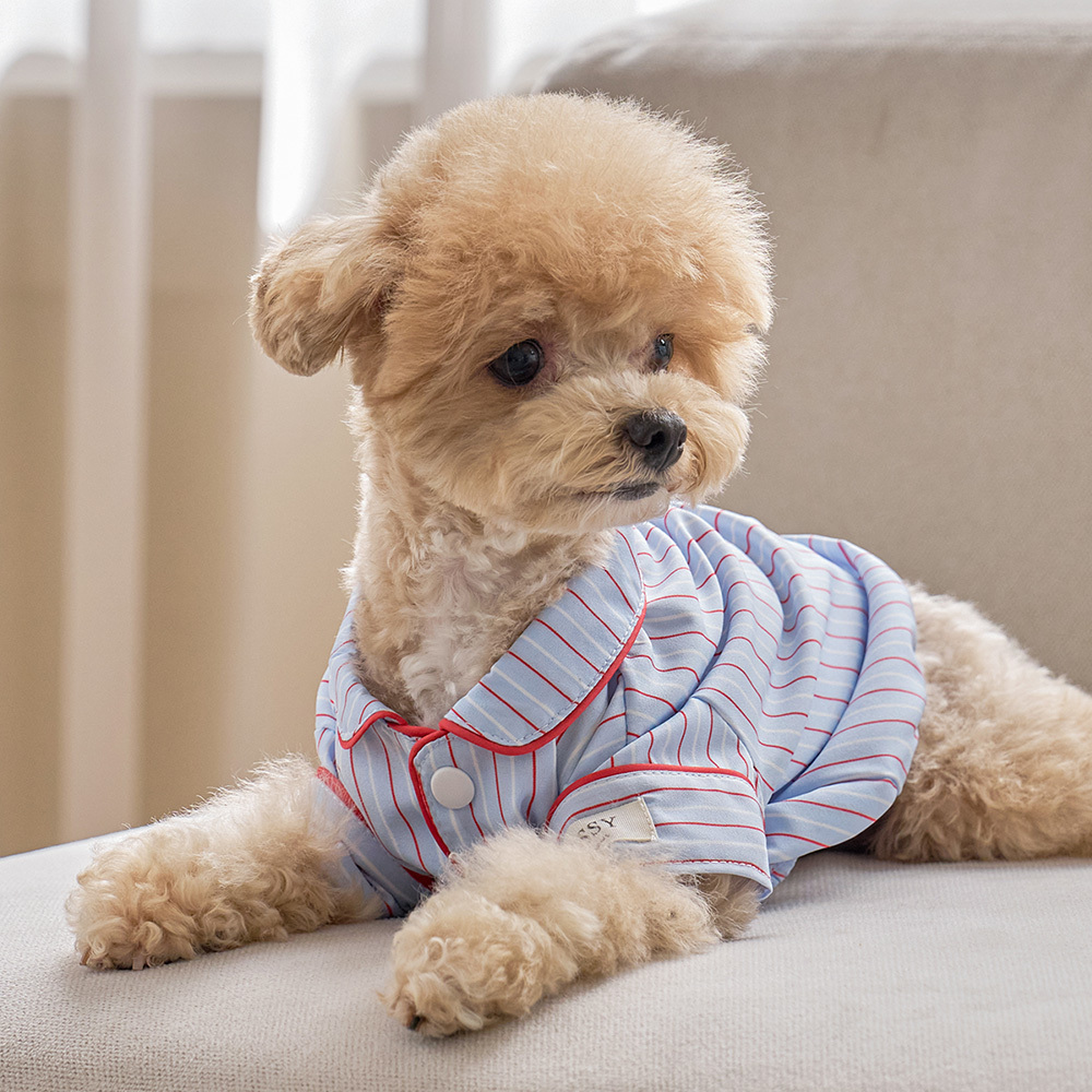 https://image.oliveyoung.co.kr/cfimages/cf-goods/uploads/images/thumbnails/10/0000/0025/B00000025902805ko.jpg?l=ko
