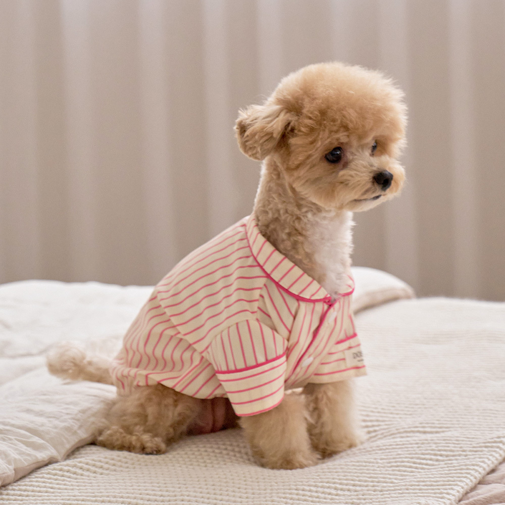 https://image.oliveyoung.co.kr/cfimages/cf-goods/uploads/images/thumbnails/10/0000/0025/B00000025903304ko.jpg?l=ko