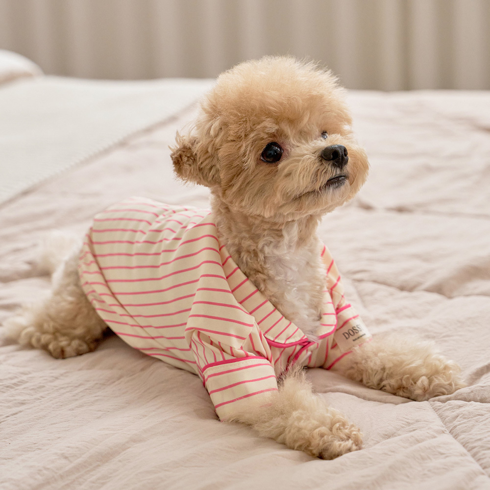 https://image.oliveyoung.co.kr/cfimages/cf-goods/uploads/images/thumbnails/10/0000/0025/B00000025903305ko.jpg?l=ko