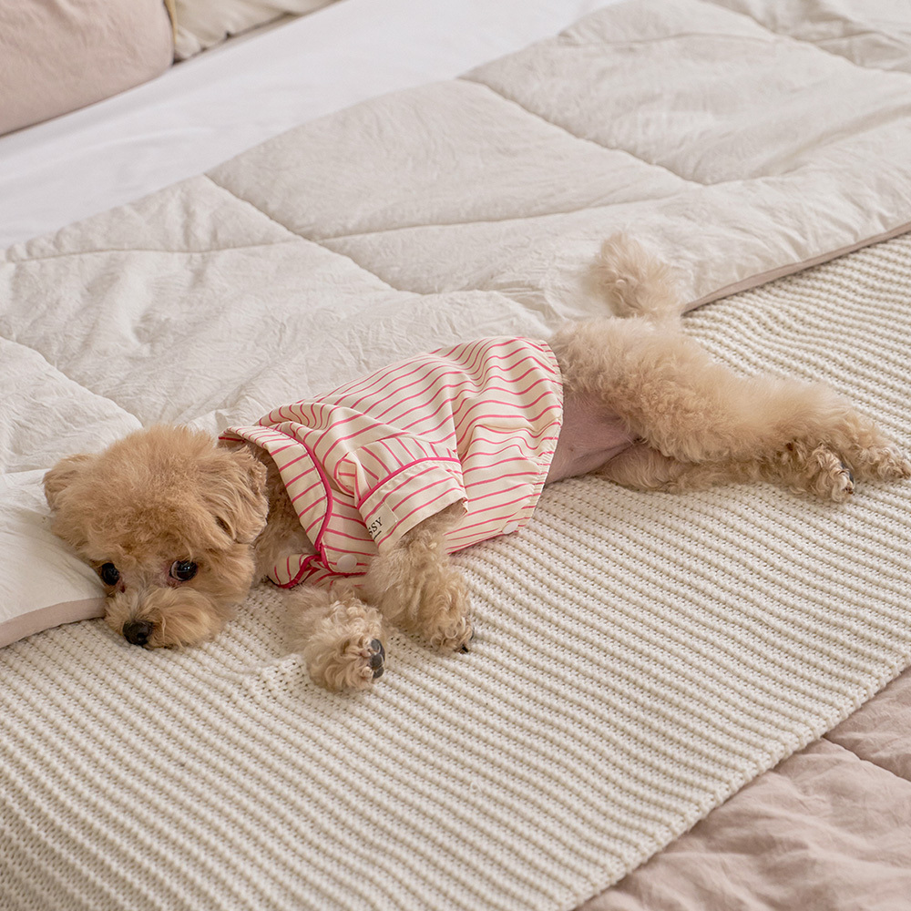 https://image.oliveyoung.co.kr/cfimages/cf-goods/uploads/images/thumbnails/10/0000/0025/B00000025903309ko.jpg?l=ko